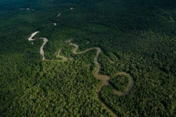 Foto aérea de selva amazónica en Colombia