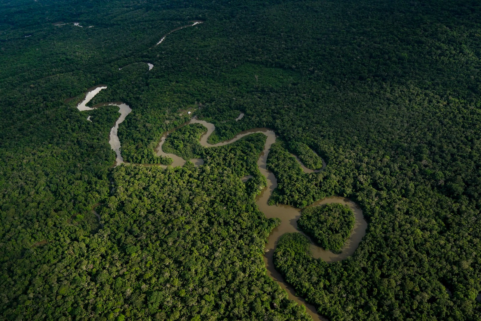Foto aérea de selva amazónica en Colombia