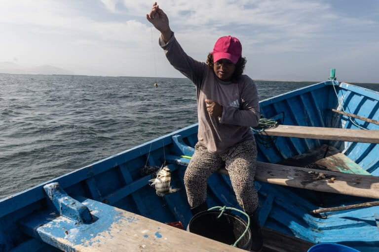 Según un informe del Instituto del Mar del Perú (IMARPE) de enero-marzo de 2024, las mujeres dedicadas a la pesca no embarcada, que incluye la recolección de algas, son el 9.3 % a nivel nacional, mientras que las que participan de la pesca embarcada son apenas el 0.2 %. Foto: Sebastián Castañeda
