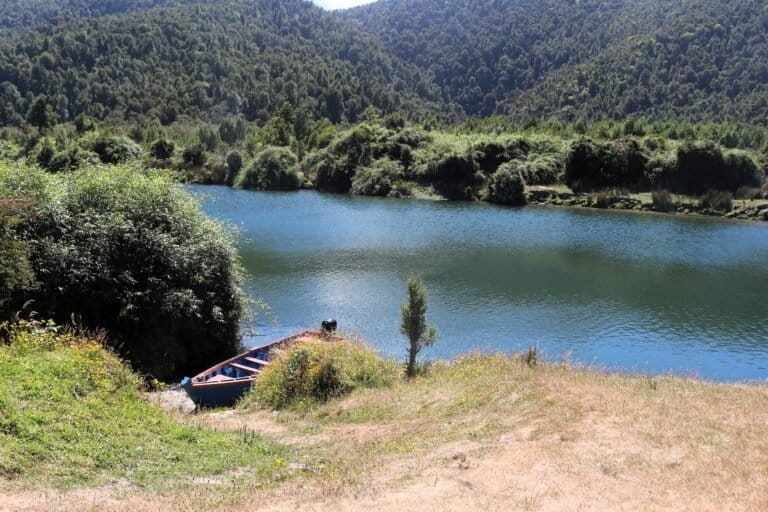 Río Huellelhue es parte del Área de Conservación de Múltiples Usos (ACMU) Lafken Mapu Lahual, cuyas comunidades tienen una relación histórica con el mar, los ríos, los bosques y las especies que allí habitan. Foto: cortesía Pesca Sustentable.