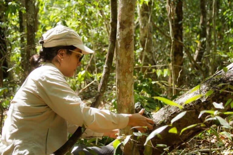 Bióloga instala cámara trampa en la selva para monitoreo de jaguar