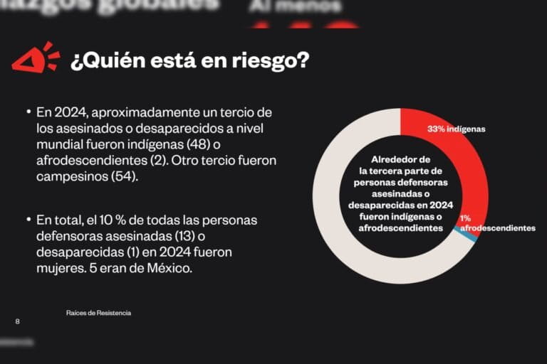 Gráfico de violencia contra defensores indígenas del territorio en 2024