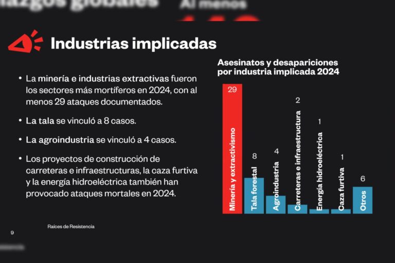 Gráfico de industrias implicadas en el asesinato de defensores ambientales durante 2024