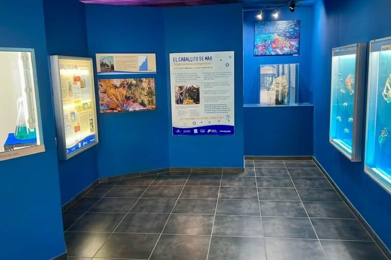 En las salas del Museo de Ciencias Naturales Lorenzo Scaglia se socializan las tareas de investigación realizadas sobre el Hippocampus patagonicus. Foto: cortesía de Gabriela Pujol