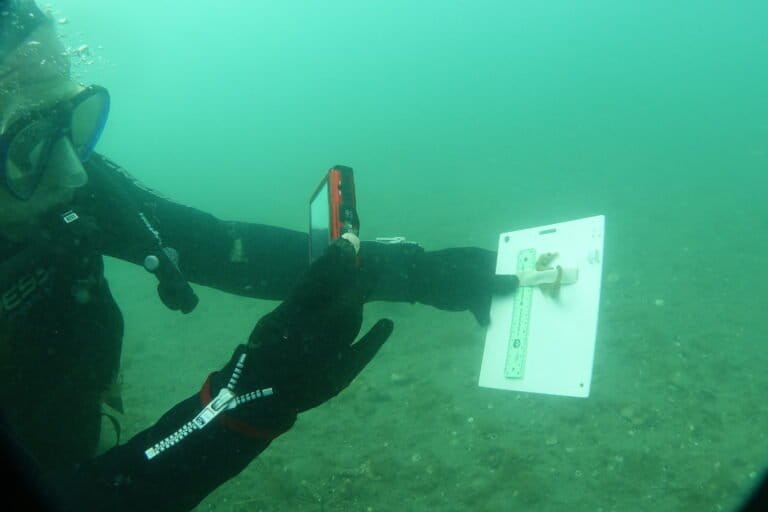 Diego Luzzatto midiendo un caballito de mar patagónico. Foto: cortesía de Diego Luzzatto
