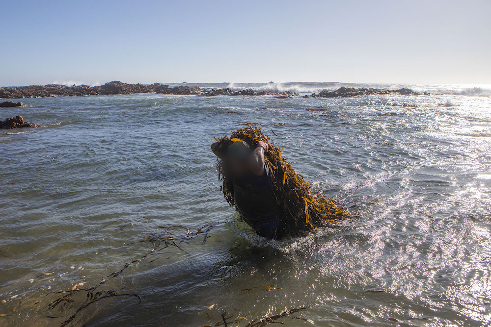 Las algas llegan a la orilla arrastradas por la fuerza natural de las olas. Foto: Marco Garro