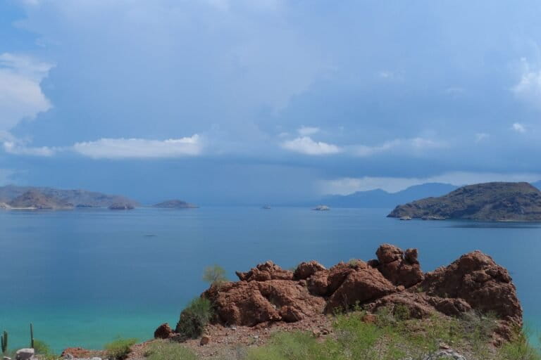 Foto panorámica de la Reserva de la Biósfera El Vizcaíno, una de las áreas naturales protegidas más grandes de México