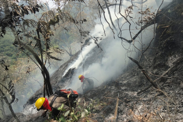 En todas las reservas, la labor de los guardaparques es vital, no solo para la conservación, sino porque son los que mejor conocen las zonas cuando se reporta un incendio. Foto: Cortesía Guardaparques Madidi.