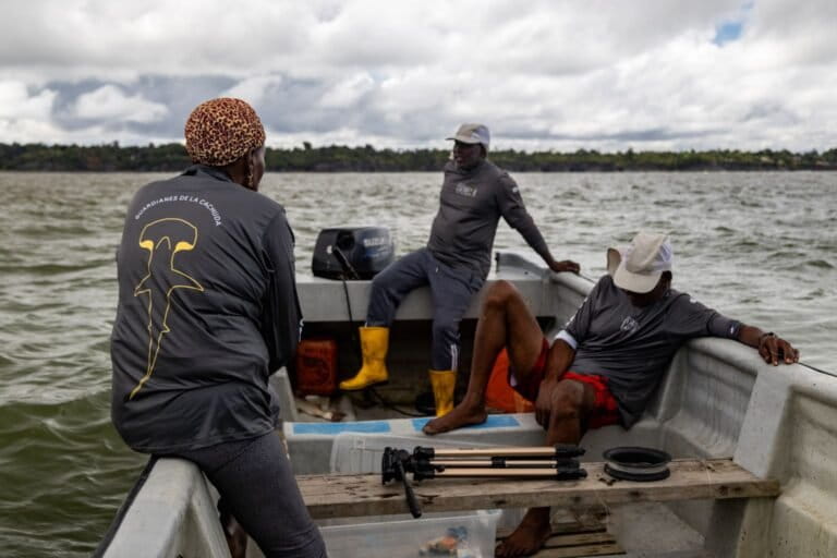 Pescadores artesanales e integrantes de los Consejos Comunitarios han sido una pieza clave para la conservación de esta especie en la zona. Foto: Esteban Hütter