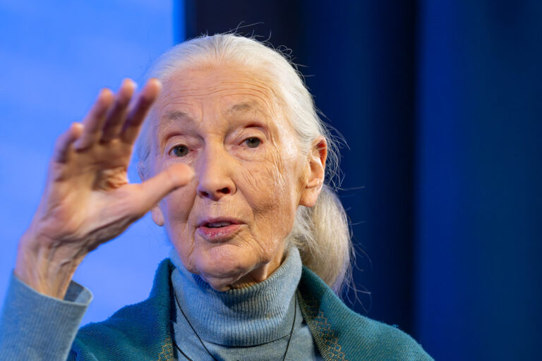 Jane Goodall, Fundadora, Instituto Jane Goodall; Mensajera de la Paz de las Naciones Unidas, EE.UU., hablando en la sesión del Foro Abierto: Decir la Verdad al Poder en la Reunión Anual del Foro Económico Mundial 2024 en Davos-Klosters, Suiza, 17 de enero. Foro Abierto - Escuela Secundaria Suiza Alpina. Derechos de autor: Foro Económico Mundial/Sandra Blaser.
