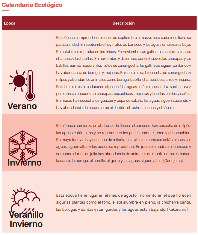 Con el calendario ecológico, los korebaju no solo identifican las estaciones, sino que también comprenden la dinámica de la biodiversidad y cómo interactuar con ella de manera sostenible. Foto: Plan de Manejo Korebaju, facilitado por la comunidad