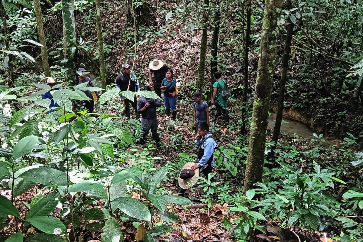 Como parte de las iniciativas de restauración se realizaron actividades de reconocimiento del territorio y cosechas fundamentadas en plan de manejo de El Diamante. Foto: cortesía Yunner Iles