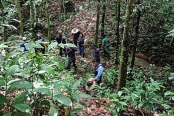 Como parte de las iniciativas de restauración se realizaron actividades de reconocimiento del territorio y cosechas fundamentadas en plan de manejo de El Diamante. Foto: cortesía Yunner Iles