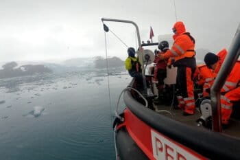 un equipo de científicos detectó pesticidas prohibidos desde hace más de tres décadas en la base de la cadena alimenticia de la Antártida. Foto: cortesía equipo de investigación científica