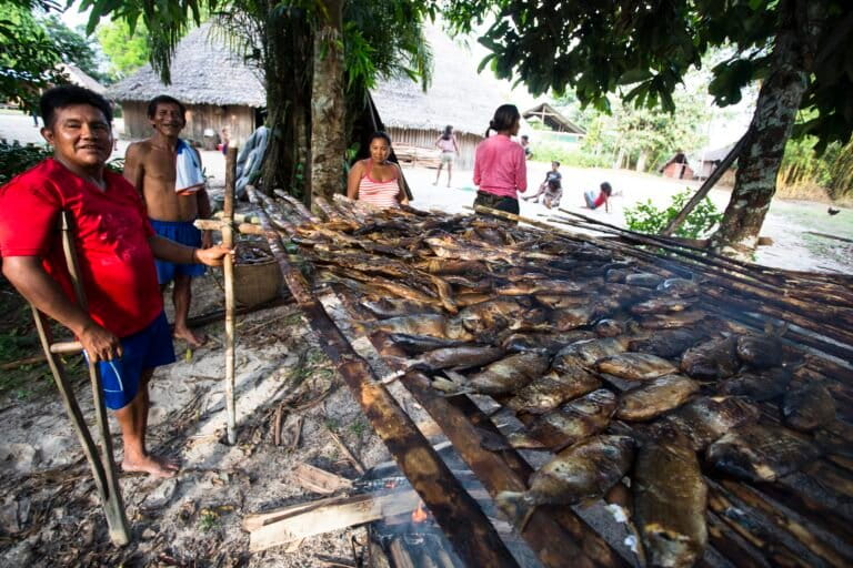 Pobladores indígenas preparan pescado