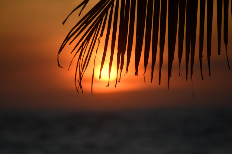 Amanecer en Zapotitlán. Foto: Óscar Martínez