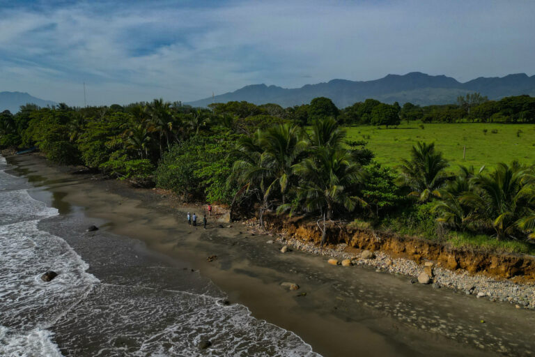 Ante los problemas de erosión costera, los científicos buscan alternativas basadas en la naturaleza para mitigar los impactos. Foto: Óscar Martínez