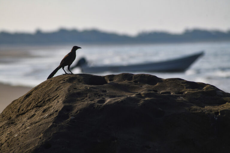 La playa de Zapotitlán. Foto: Óscar Martínez