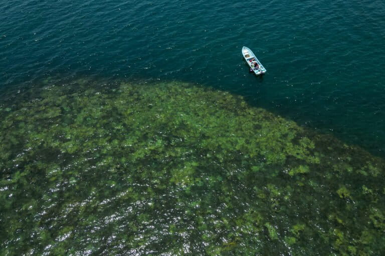 En la comunidad de Zapotitlán se encuentran dos de los 32 arrecifes del sistema arrecifal de Los Tuxtlas. Foto: Óscar Martínez