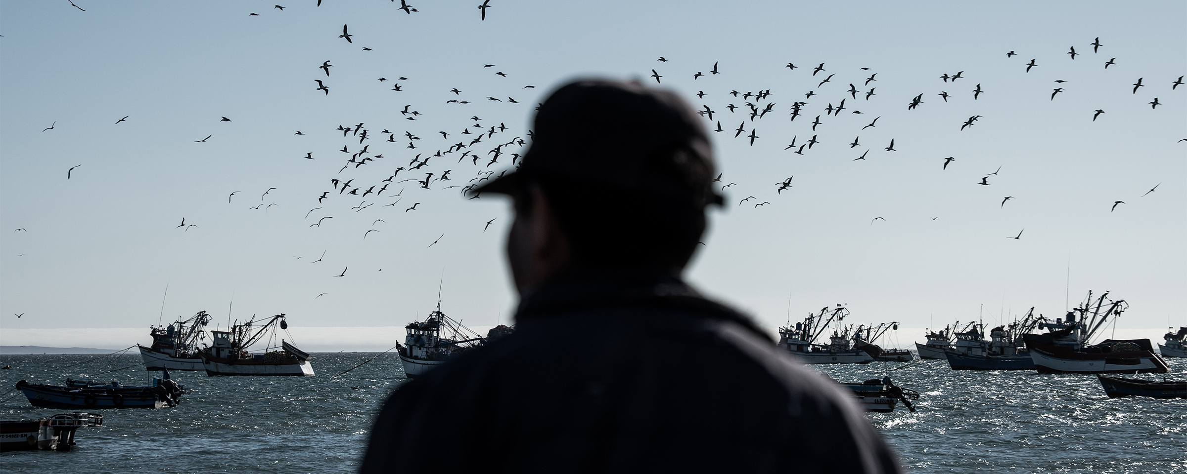 Piratas de Ecuador y Perú: el brazo logístico del narcotráfico detrás de las extorsiones a pescadores artesanales – Mongabay