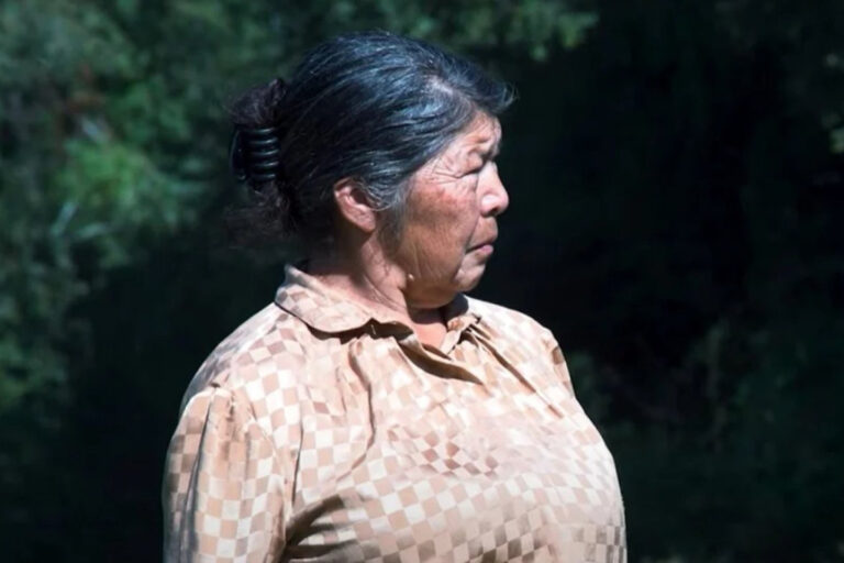 La defensora mapuche enfrentó acoso y hostigamiento por defender parte del bosque mapuche en la región de Los Ríos. Foto: cortesía familia Julia Chumil