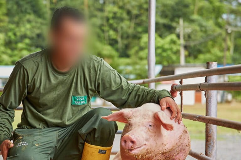 Una imagen promocional de Pronaca publicada en el website de la empresa. Foto: Pronaca