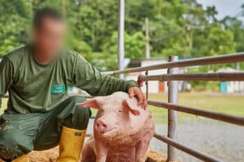 Una imagen promocional de Pronaca publicada en el website de la empresa. Foto: Pronaca