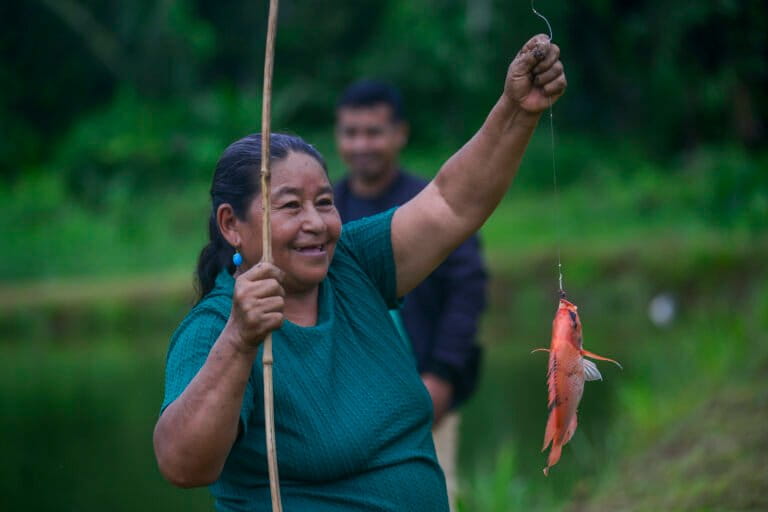 Clelia Andaluz captura tilapias en una de las piscinas dedicadas a este cultivo en la comunidad Los Vegas. Foto: Estuardo Vera