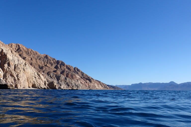 Ecosistema marino en el Golfo de California