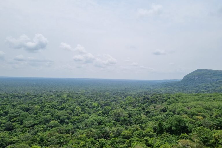 Imagen panorámica de la estación de monitoreo en Guaviare, Colombia