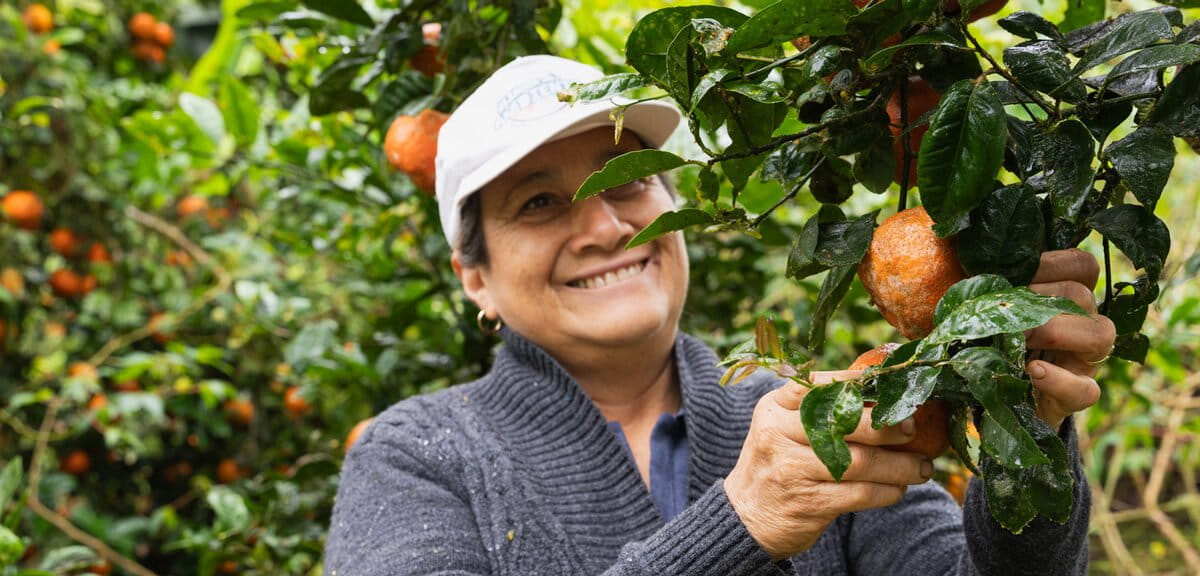 Productores: aliados claves para la conservación en Galápagos