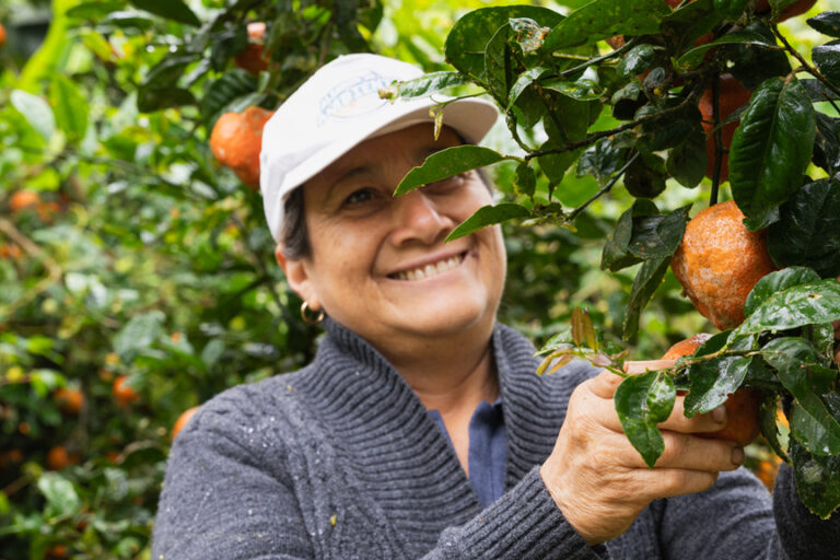 Productores: aliados claves para la conservación en Galápagos