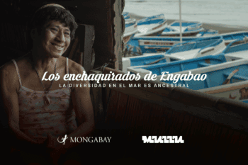 Los enchaquirados de Engabao. La diversidad en el mar es ancestral