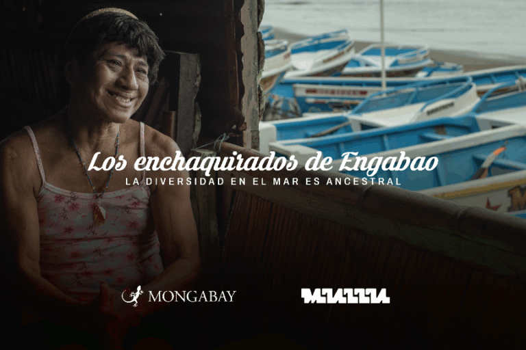 Los enchaquirados de Engabao. La diversidad en el mar es ancestral