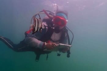Monitoreo de especies en una de las zonas propuestas para establecer refugios pesqueros en el oriente de Yucatán. Foto: Cortesía Gloria Perera