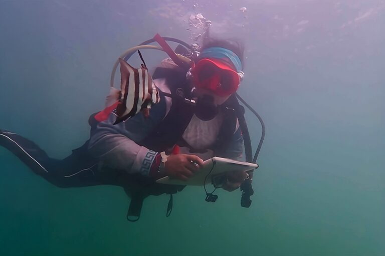 Monitoreo de especies en una de las zonas propuestas para establecer refugios pesqueros en el oriente de Yucatán. Foto: Cortesía Gloria Perera