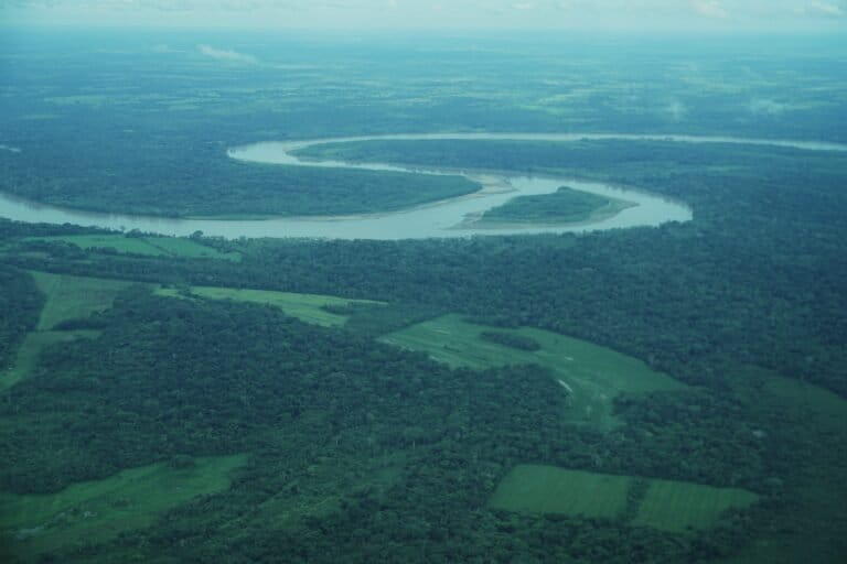 Guaviare - Deforestación en San José del Guaviare, noviembre 2025. Foto: Daniela Quintero Díaz