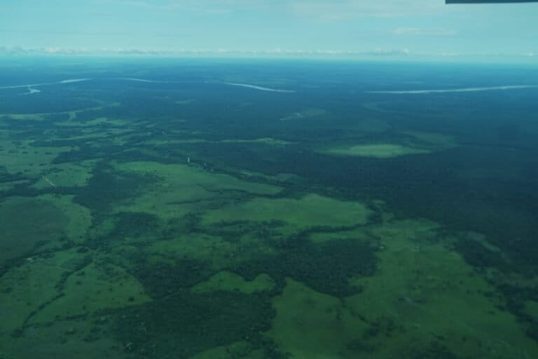 Guaviare - Avance de la ampliación de la frontera agrícola hacia la selva, noviembre 2025. Foto: Daniela Quintero Díaz