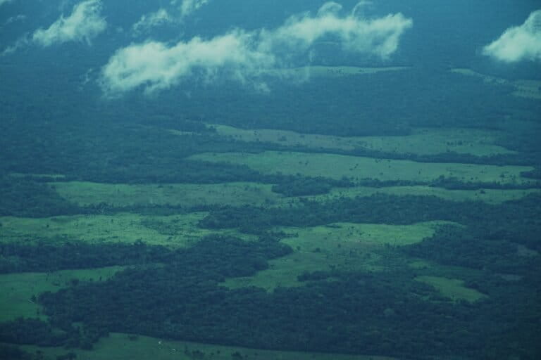 Guaviare - Deforestación en el Resguardo Nukak, en noviembre de 2025. Foto: Daniela Quintero Díaz
