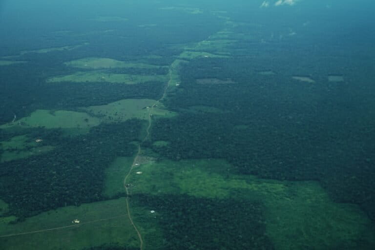 Guaviare - Deforestación provocada por vías ilegales. Foto: Daniela Quintero Díaz