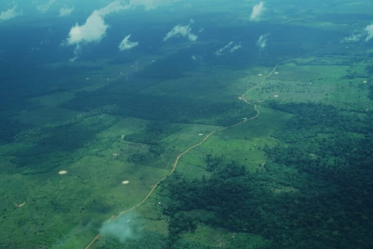 Guaviare - Vía La Libertad - La Paz. Foto: Daniela Quintero Díaz