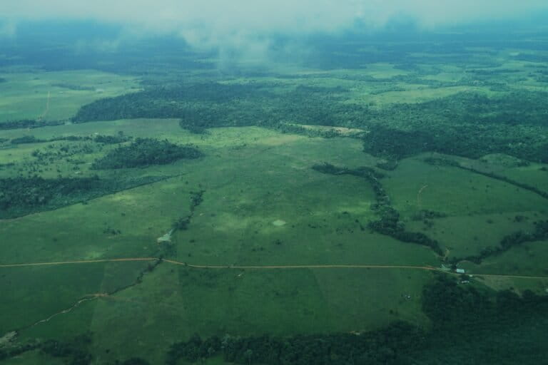 Guaviare - Vías y deforestación en Calamar. Foto: Daniela Quintero Díaz