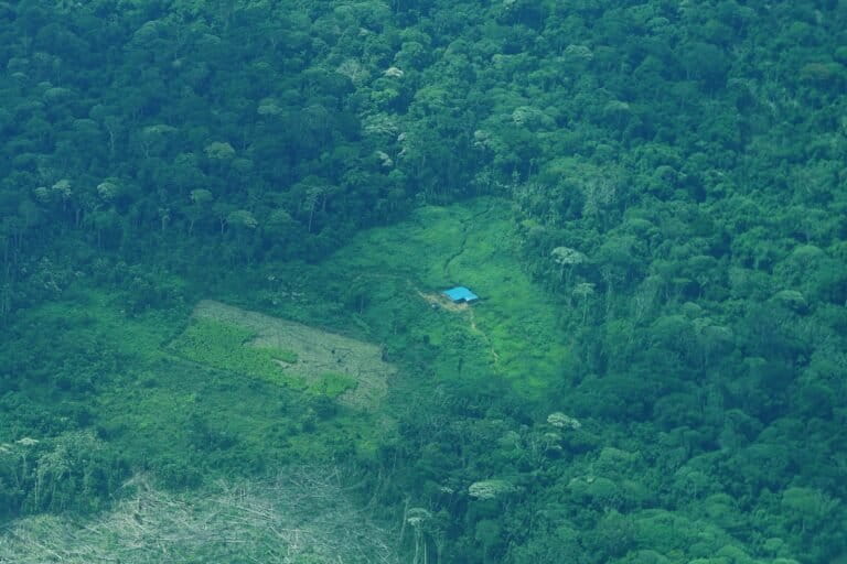 Guaviare - Deforestación y cultivos en Miraflores. Foto: Daniela Quintero Díaz