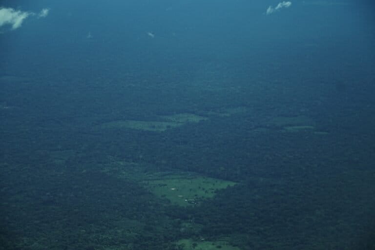 Guaviare - Deforestación en resguardo Nukak, noviembre 2025. Foto: Daniela Quintero Díaz