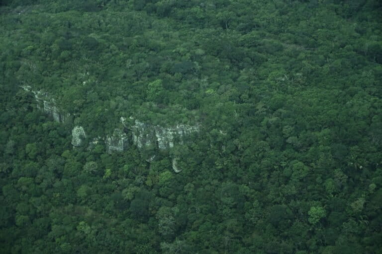Guaviare - Selva conservada en el municipio de El Retorno, noviembre 2025. Foto: Daniela Quintero Díaz