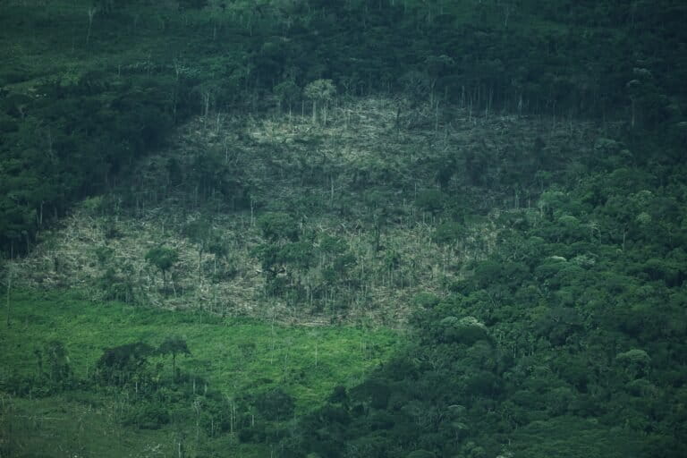 Guaviare - Proceso de deforestación en Calamar. Foto: Daniela Quintero Díaz