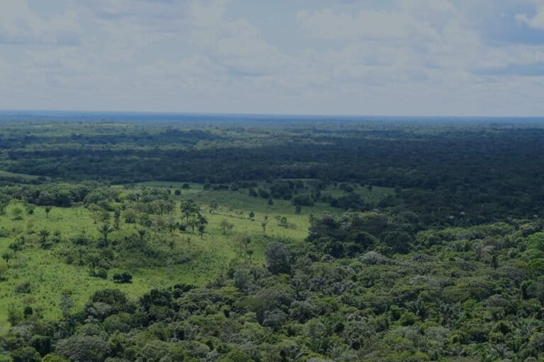 Guaviare - Deforestación en La Lindosa (2), noviembre de 2025. Foto: Daniela Quintero Díaz