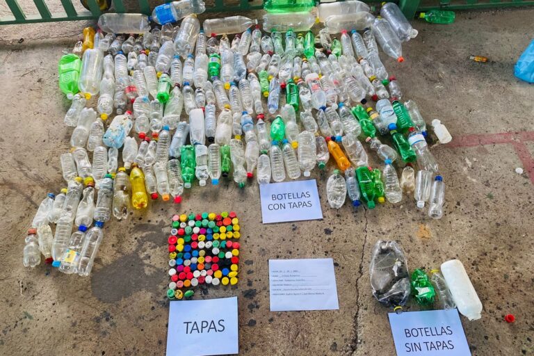 Clasificación de botellas plásticas recolectadas en Costa Rica para su análisis. Foto de Juan Manuel Muñoz-Araya.