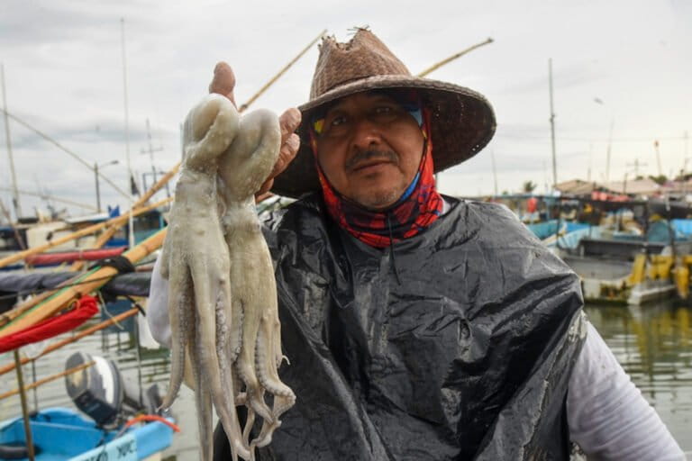 La crisis climática está impidiendo que los pescadores artesanales puedan acceder a uno de los recursos más importantes de su sustento. Foto: David Rico