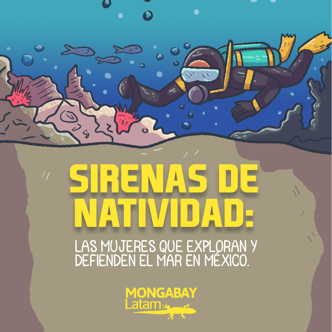 1-SIRENAS